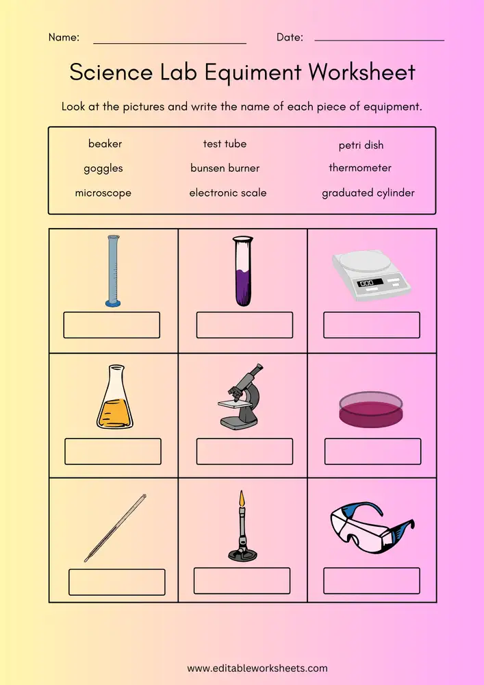 Free Printable Science Worksheets 02