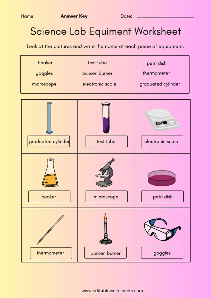 Free Printable Science Worksheets 03