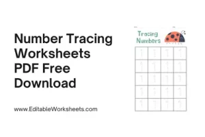 Number Tracing Worksheets PDF Free Download Presentation