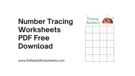 Number Tracing Worksheets PDF Free Download Presentation